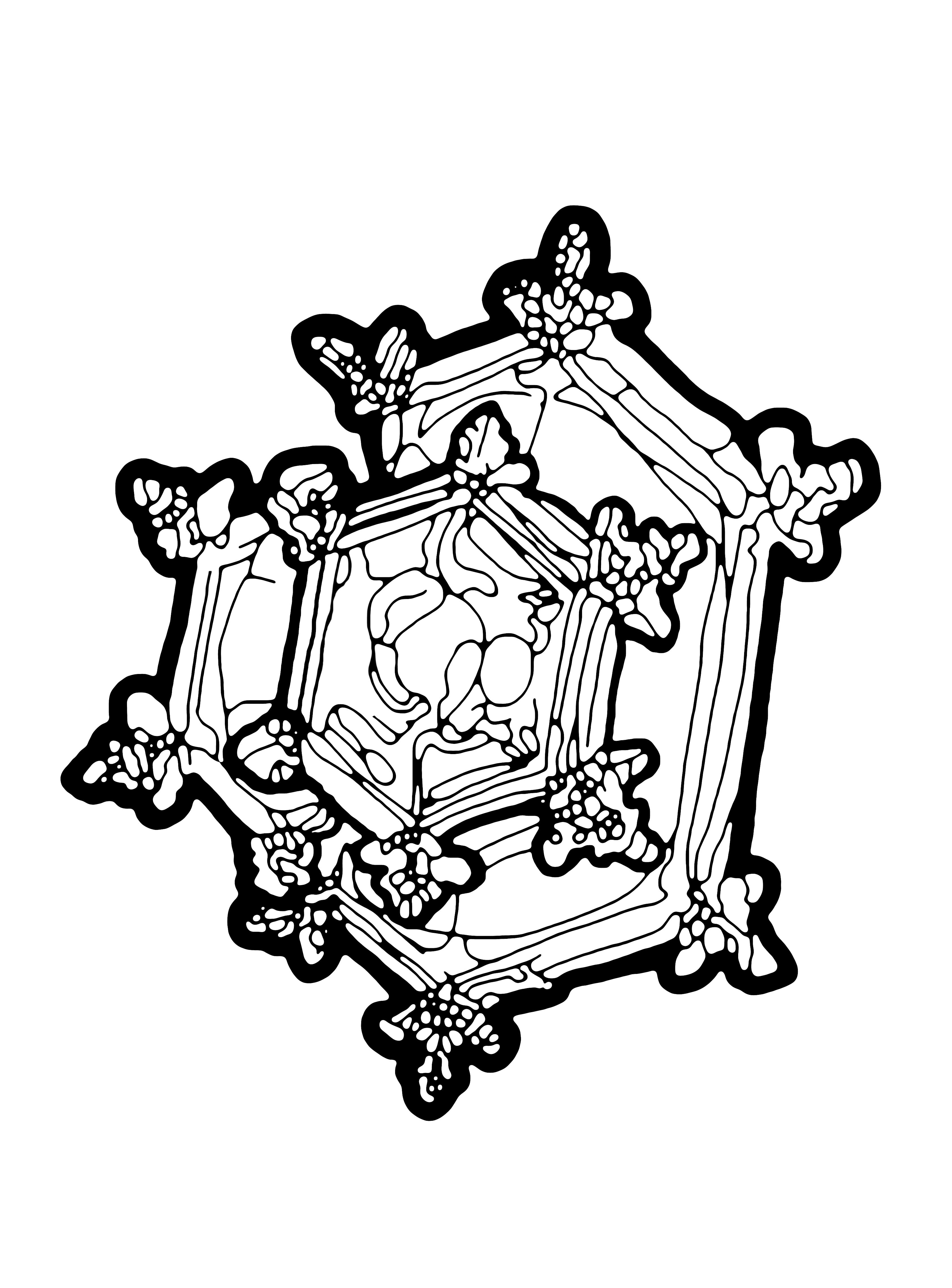 vodni kristal družinska ljubezen